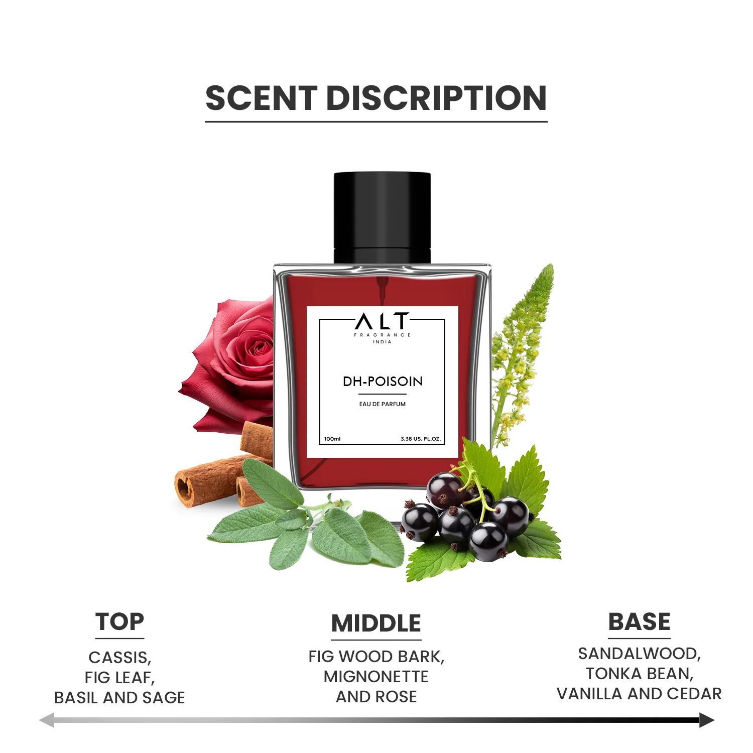 DH-poisoin - EDP Inspired Perfume for Women - Image 6