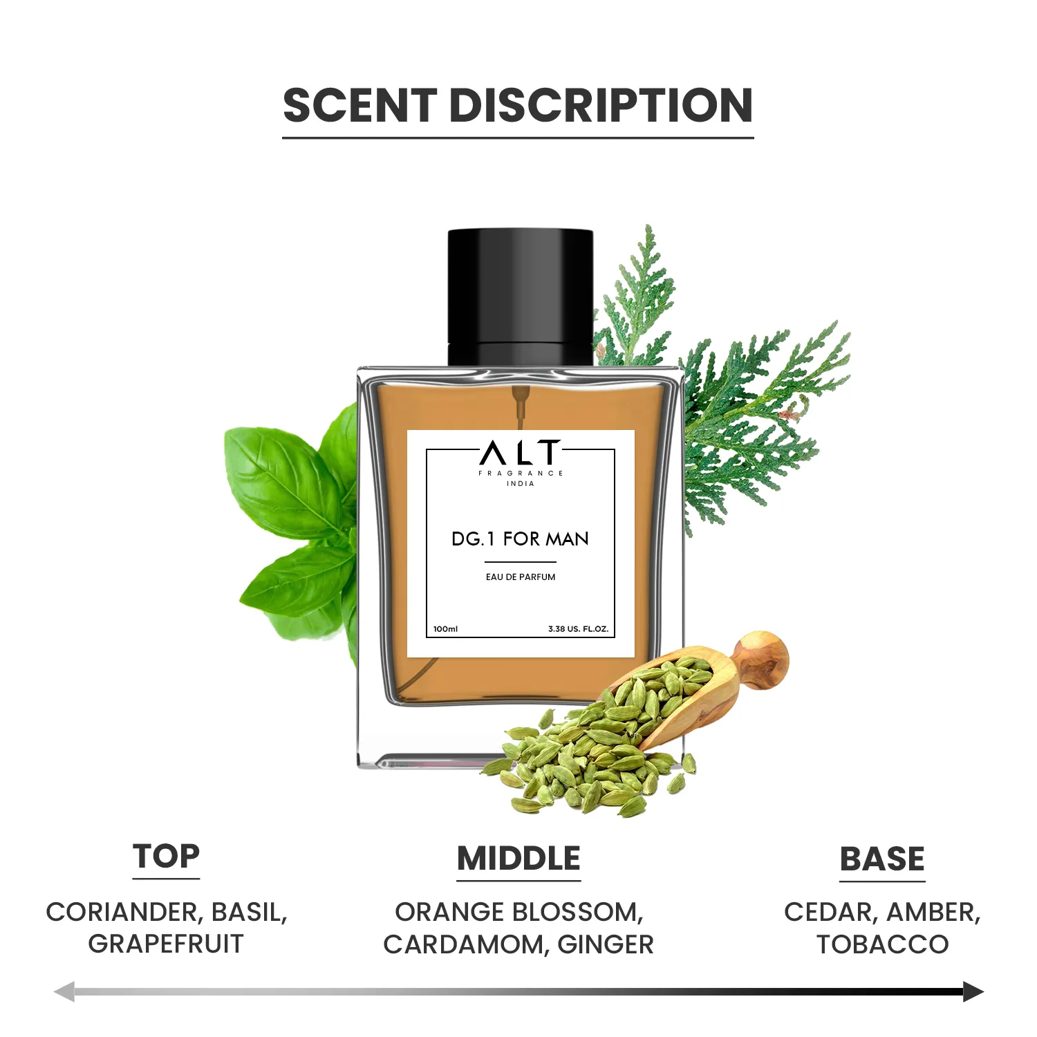 DG-1 FOR MEN  - EDP Inspired Perfume for Men - Image 3